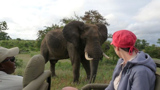 Klára Škodová pozorovala slony v Timbavati v Jihoafrické republice