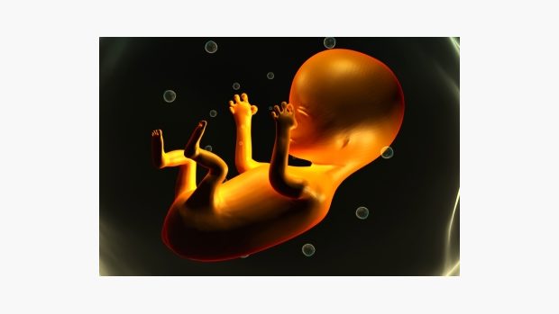 Lidské embryo (ilustrační foto)
