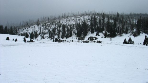 Na Šumavě místy napadl sníh. Na Velkém Javoru naměřili meteorologové až 30 centimetrů sněhu. Snímek je z Březníku