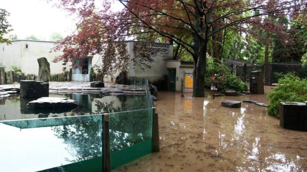 Zaplavená spodní část pražské zoo, pavilon pro tučňáky