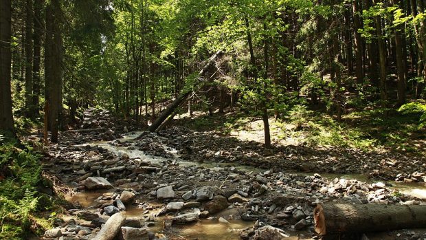 Povodně poničily i národní park v Krkonoších - bývalá Honzíkova cesta