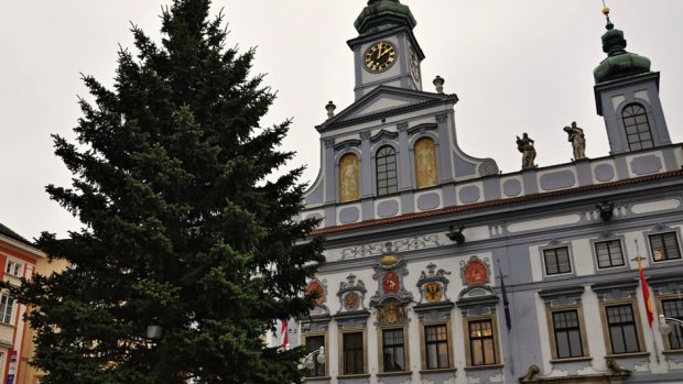 Českobudějovický vánoční strom stojí tradičně před radnicí na náměstí Přemysla Otakara II.