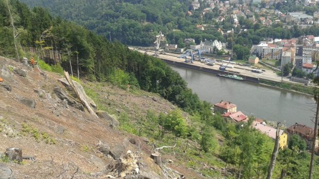 Horní Žleb u Děčína, sanace svahu. Odborníci začali zajišťovat místo odkud se skála utrhla