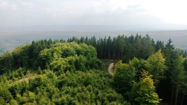 Výhled z rozhledny Cibulka na Šibeničním vrchu u Oloví na Sokolovsku