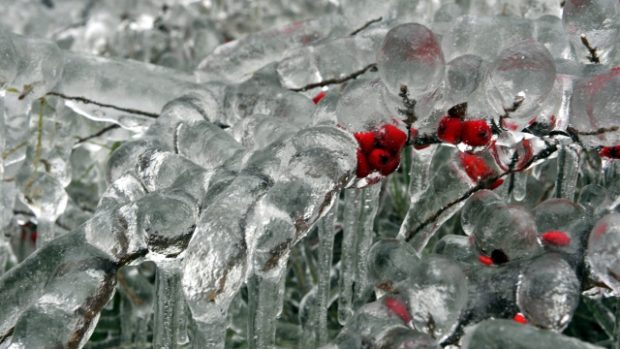 Mrznoucí déšť zasáhl i Maďarsko. Dobogoko, 40 km severně od Budapešti