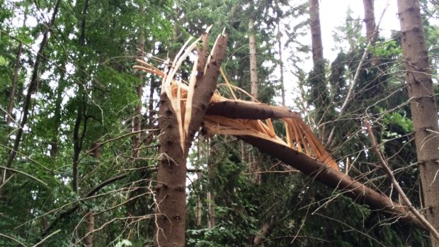Lesy na Orlickoústecku poničila bouře. Lesníci odklízejí popadané stromy a sčítají škody