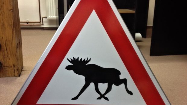 Výstražná značka upozorňující na výskyt losů by se mohla objevit i u českých silnic