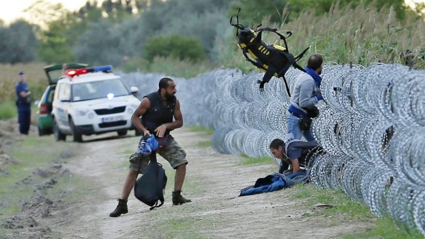 Maďarská policie přihlíží pokusu uprchlíků ze Sýrie překonat plot u hranic se Srbskem
