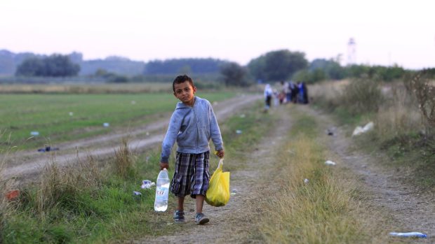 Migrace, uprchlíci, migranti, běženci, na srbsko-maďarské hranici