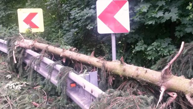 Hasiči v Proseči nad Nisou na Jablonecku polámané stromy odstranili ze silnic. Během dalších dní je odvezou