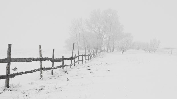 Zima a mráz (ilustrační foto)