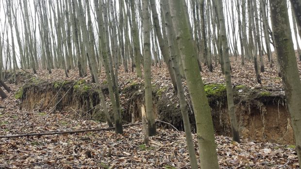 V kopci nad důlním jezerem se v Doubravě objevila velká trhlina a hrozí, že zemina zavalí silnici a poničí vodovod.