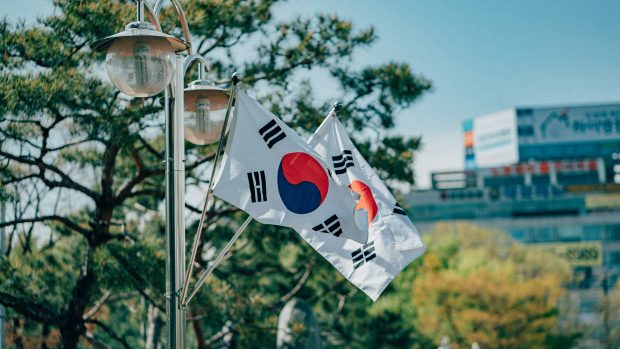 Prvního takového festivalu v Koreji se měli účastnit také slavné japonské pornoherečky a pornoherci