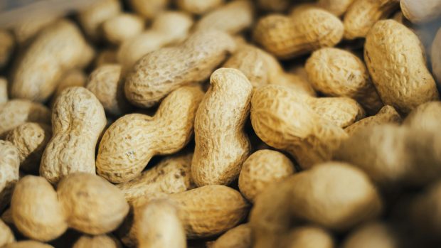 K prevenci alergie by prý měla denní dávka představovat tři lžičky arašídového másla