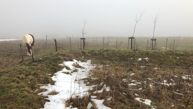 Co můžou změnit zemědělci, stát a samosprávy, aby zůstala v krajině voda? Debatují sedlák hospodařící pod Milešovkou Daniel Pitek, Pavel Punčochář z ministerstva zemědělství a Alois Burian z pražského studentského spolku Hydrant. Moderuje Martina Mašková