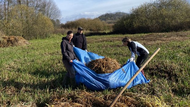 Dobrovolníci zazimovali ptačí rezervaci Mnišské louky u České Lípy