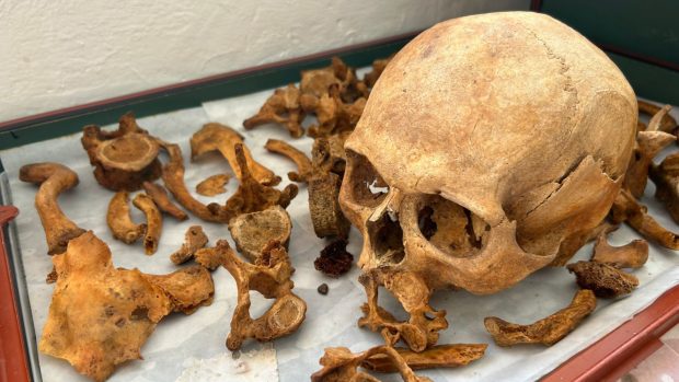 Archeologové našli v Podsedicích několik mimořádně zajímavých pravěkých nálezů