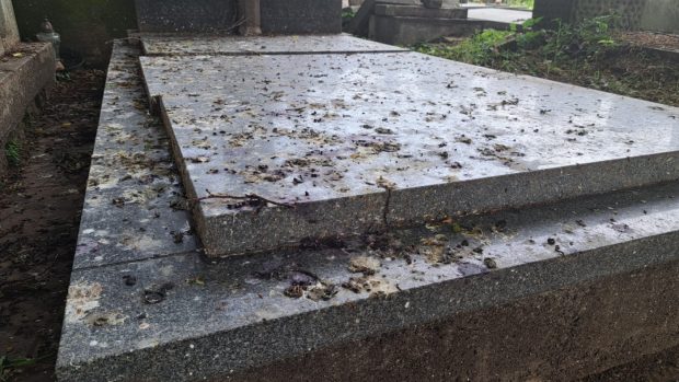 Výkaly špačků znečišťují hroby