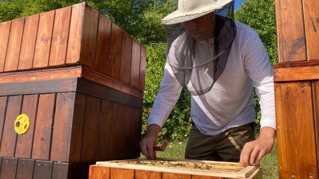O podnikové úly se stará pracovník Spolchemie a včelař Roman Dejmek