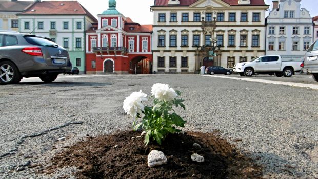 Květiny uprostřed parkoviště na Velkém náměstí v Hradci Králové