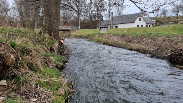 Řeka Jihlava určující zemskou hranici v Dolní Cerekvi na Jihlavsku