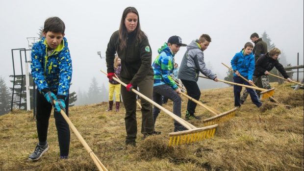 Někteří žáci na Vrchlabsku vzali místo učebnic do rukou hrábě a vyrazili na krkonošské louky