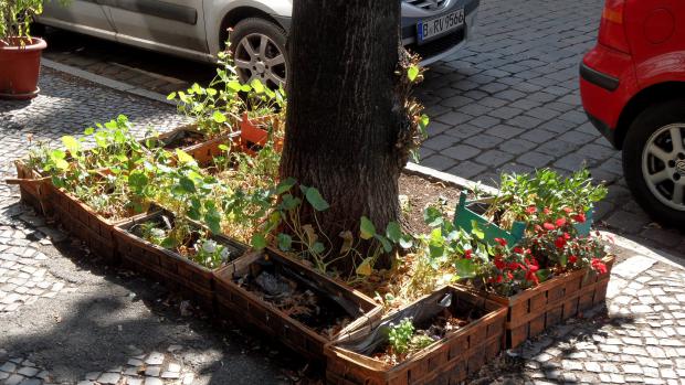 Street gardening zvelebuje záhonky ve veřejném prostoru (ilustrační foto)