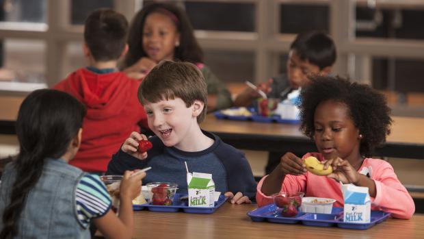Školáci na obědě, školní oběd, oběd ve škole, děti obědvající ve škole (ilustrační foto)
