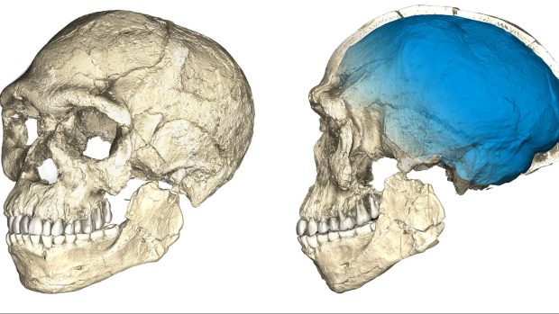 Rekonstrukce lebek nalezených homo sapiens, které jsou o 100 000 let starší, než dosud nejstarší známé.