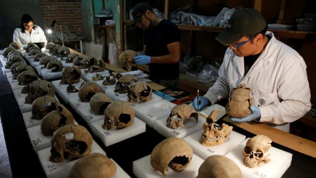 Archeologové pečlivě zkoumají každou nalezenou lebku