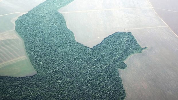Zhruba čtvrtina celosvětově přislíbených opatření na ochranu klimatu počítá s iniciativami, jako je snížení emisí v důsledku odlesňování a poškozování lesů nebo se zlepšením zemědělských metod. Na snímku odlesňování amazonského pralesa v Brazílii