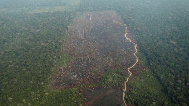 Za větší počet požárů může podle expertů nejen sucho či klimatické změny, ale i ilegální kácení a vypalování lesa za účelem získání zemědělské půdy
