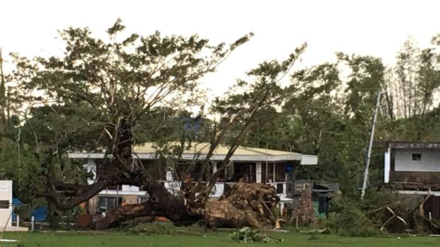 Tajfun Phanfone na ostrově Leyte na Filipínách vyvracel stromy