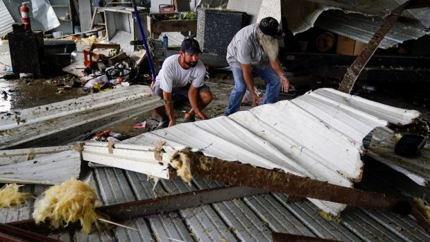 K Belize se živel sune rychlostí 26 kilometrů za hodinu