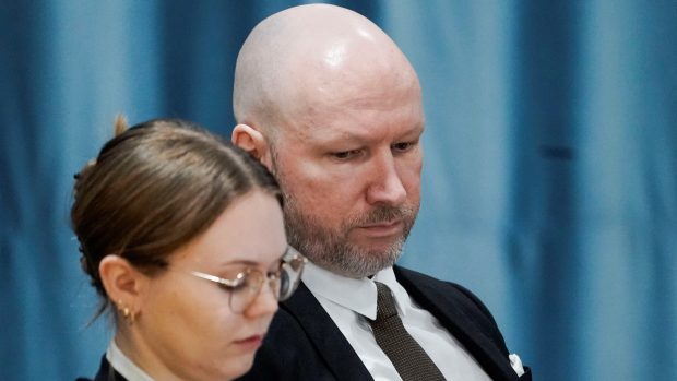 Breivik se podle agentury AFP se na rozdíl od svých předchozích veřejných vystoupení zdržel jakýchkoli provokací