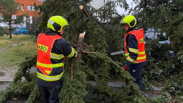 Pražští hasiči zasahovali také na pražském Braníku, kde stromy popadaly na zaparkovaná auta. Nikomu se nic nestalo.
