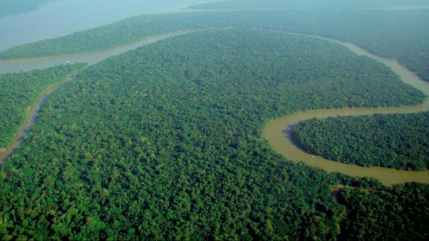 Amazonský deštný prales (ilustrační foto)