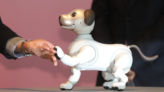 Robotické štěně Aibo umí dávat pac