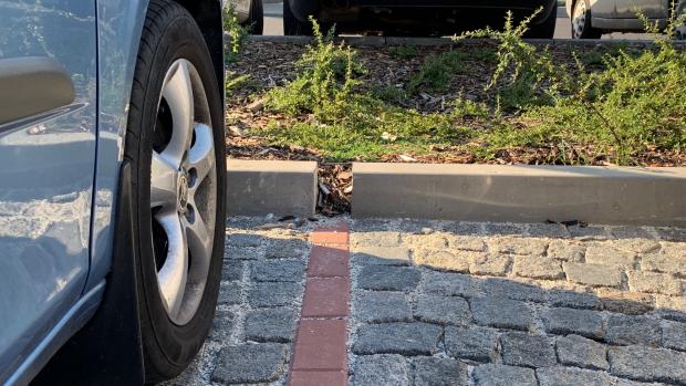 Mezery v obrubnících a vozovka upravená tak, aby všechny srážky odtékaly přímo ke stromům.