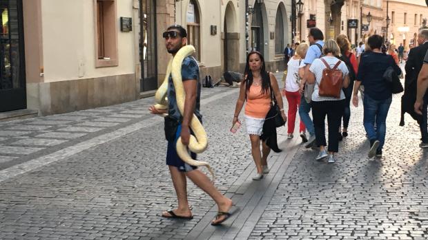 Muži v Celetné ulici v centru Prahy nabízejí fotku s krajtou. Podle úřadů je to nelegální