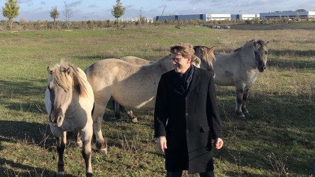 Ředitel letiště Engelbert Lütke Daldrup s koňmi