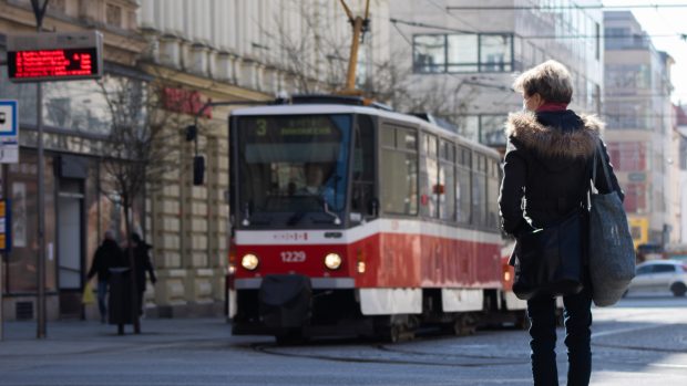 Rozkvetlé květiny před rektorátem Masarykovy univerzity