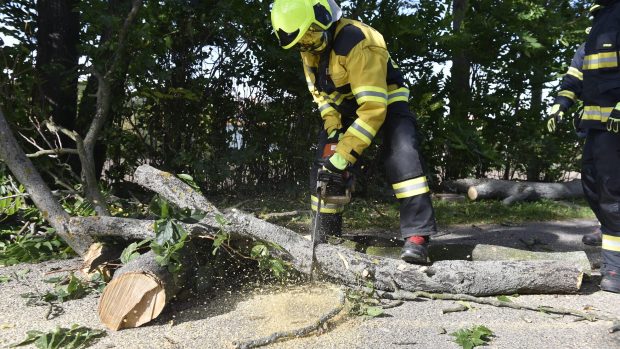 Hasiči odstraňují větve, které kvůli silnému větru spadly na silnici ve Valticích na Břeclavsku.