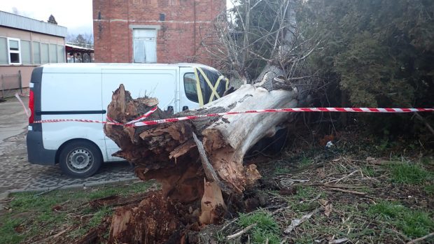 V souvislosti s větrným počasí zasahovali hasiči na náměstí T. G. Masaryka ve Zlíně, kde vzrostlý strom spadl na zaparkovanou dodávku.