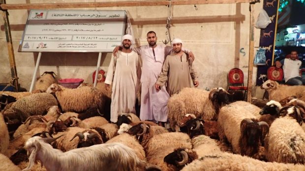 Pastevci z Horního Egypta v typických venkovských košilích, kteří hlídají zvířata na trhu