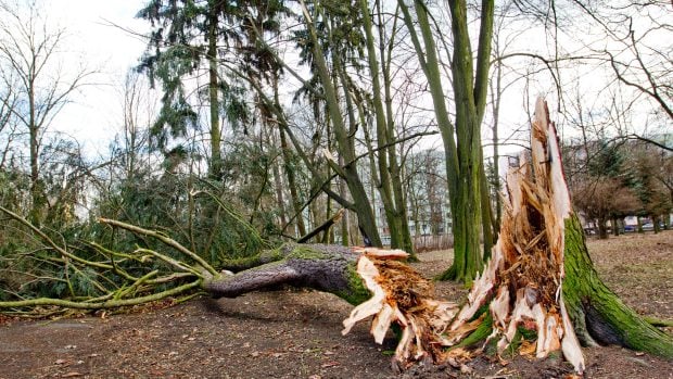 Cold front hits the Czech Republic: Strong winds follow extreme heat
