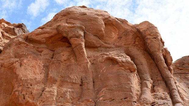 Reliéfy velbloudů v Saúdské Arábii byly objeveny v roce 2018