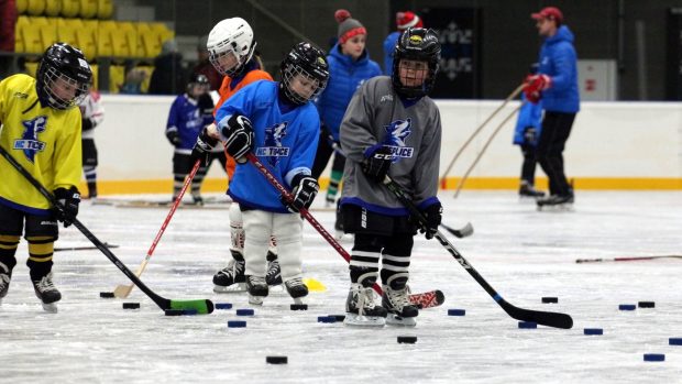 Klub HC Teplice Huskies nastartoval znovu pořádnou přípravu mladých hokejistů letos v únoru.