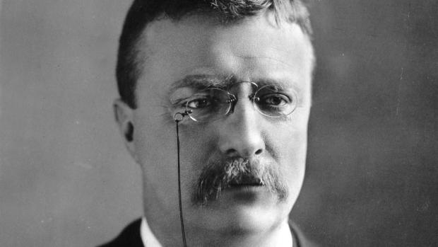 26. prezident USA Theodore Roosevelt