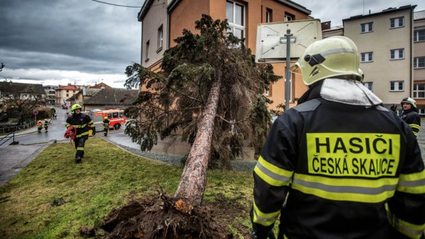 Hasiči v Královéhradeckém kraji odstraňovali během pondělí následky bouře Sabine